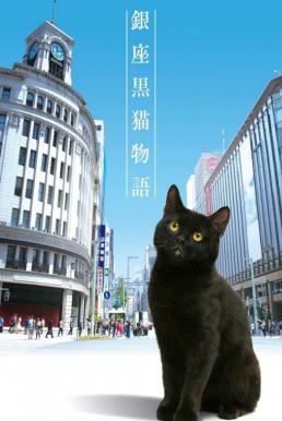 แมวเหมียวกินซ่า GINZA CAT 2020